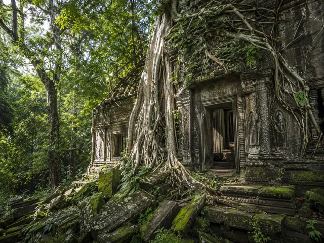 Jungle Temple — example photo