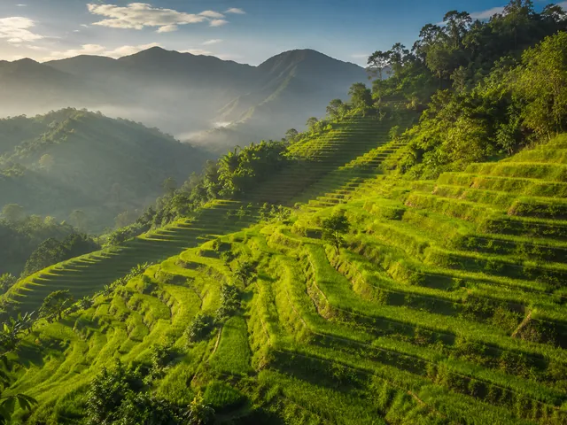 Rice Terraces — example photo