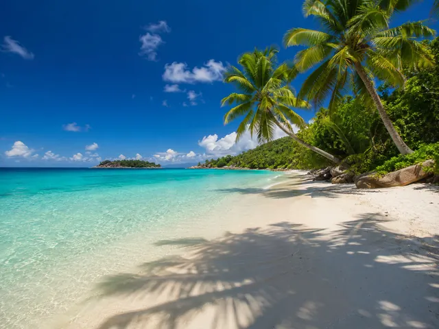 Tropical Beach — example photo