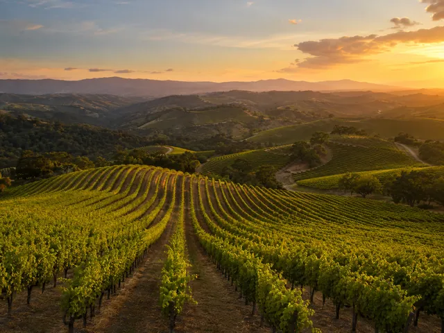 Vineyard Hills — example photo